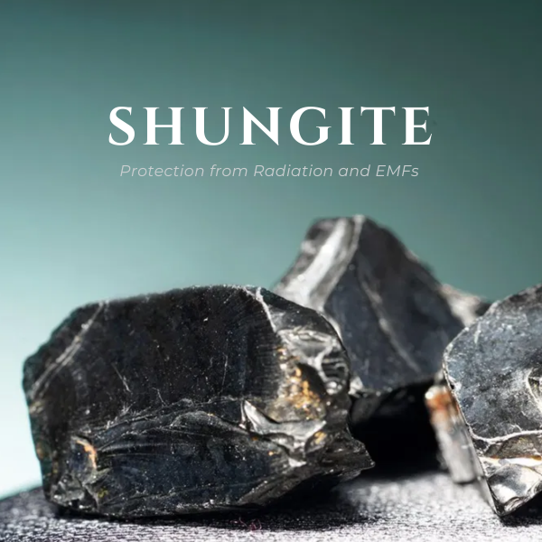 Shungite | Stone Information, Healing Properties, Uses