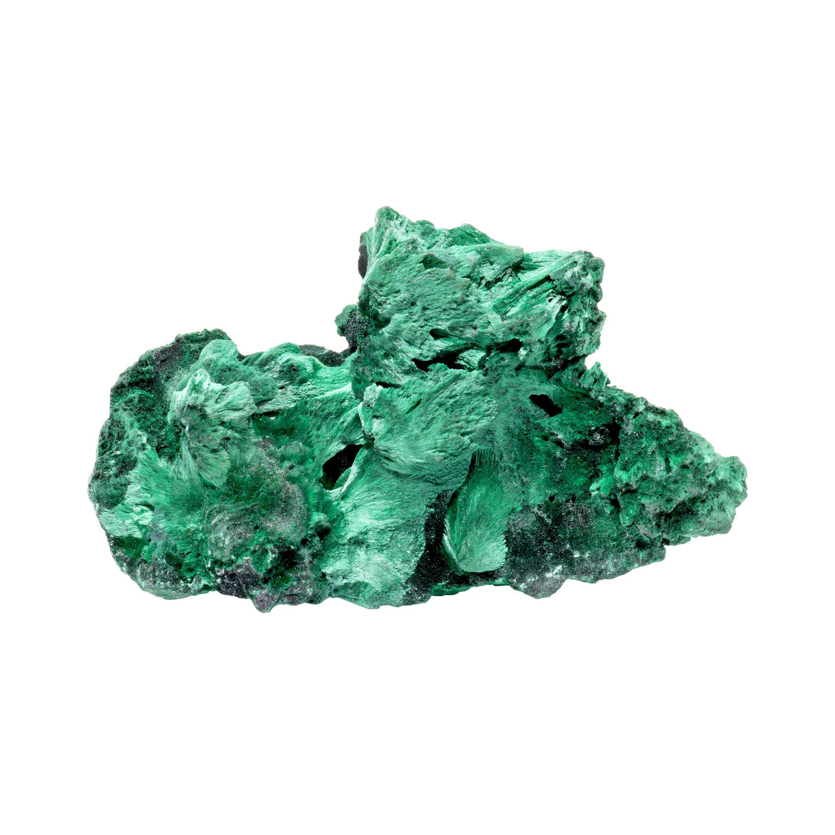 Chatoyant Fibrous Malachite Specimen on Lucite Stand