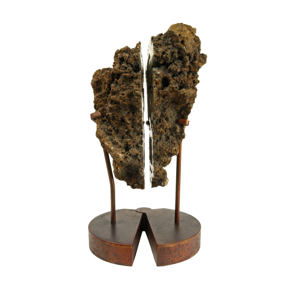Fossilized Coral Head Pair in Custom Pivot Stand - Chocolate Exterior with White Interior Plume Agate & Druze Pockets at Bottom
