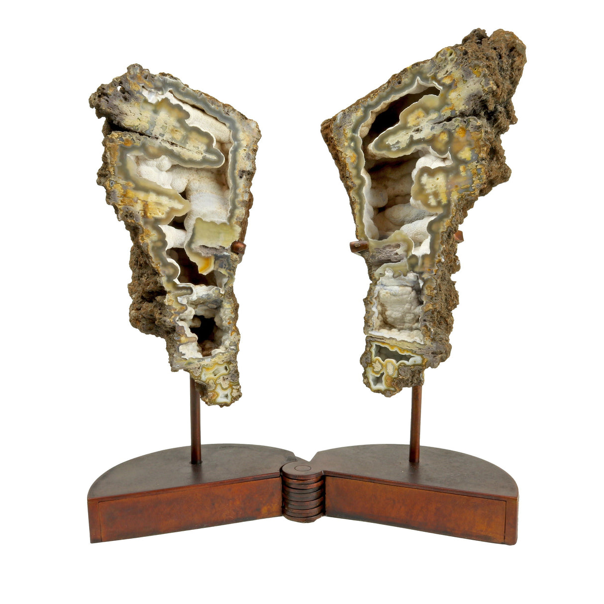 Fossilized Coral Head Pair in Custom Pivot Stand - Chocolate Exterior with White Interior Plume Agate & Druze Pockets at Bottom