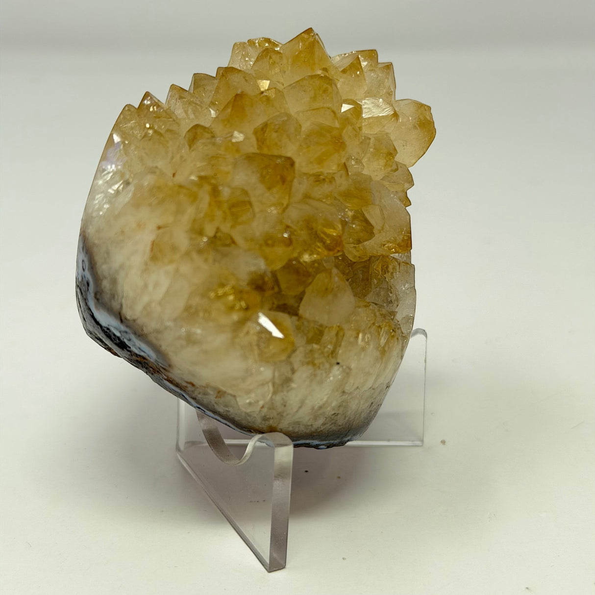 Polished Natural Citrine Crystal Stalactite Knobs on Lucite Stand