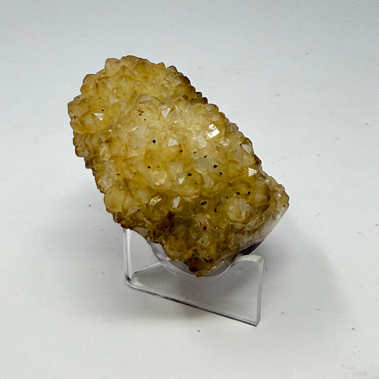 Polished Natural Citrine Crystal Stalactite Knobs on Lucite Stand