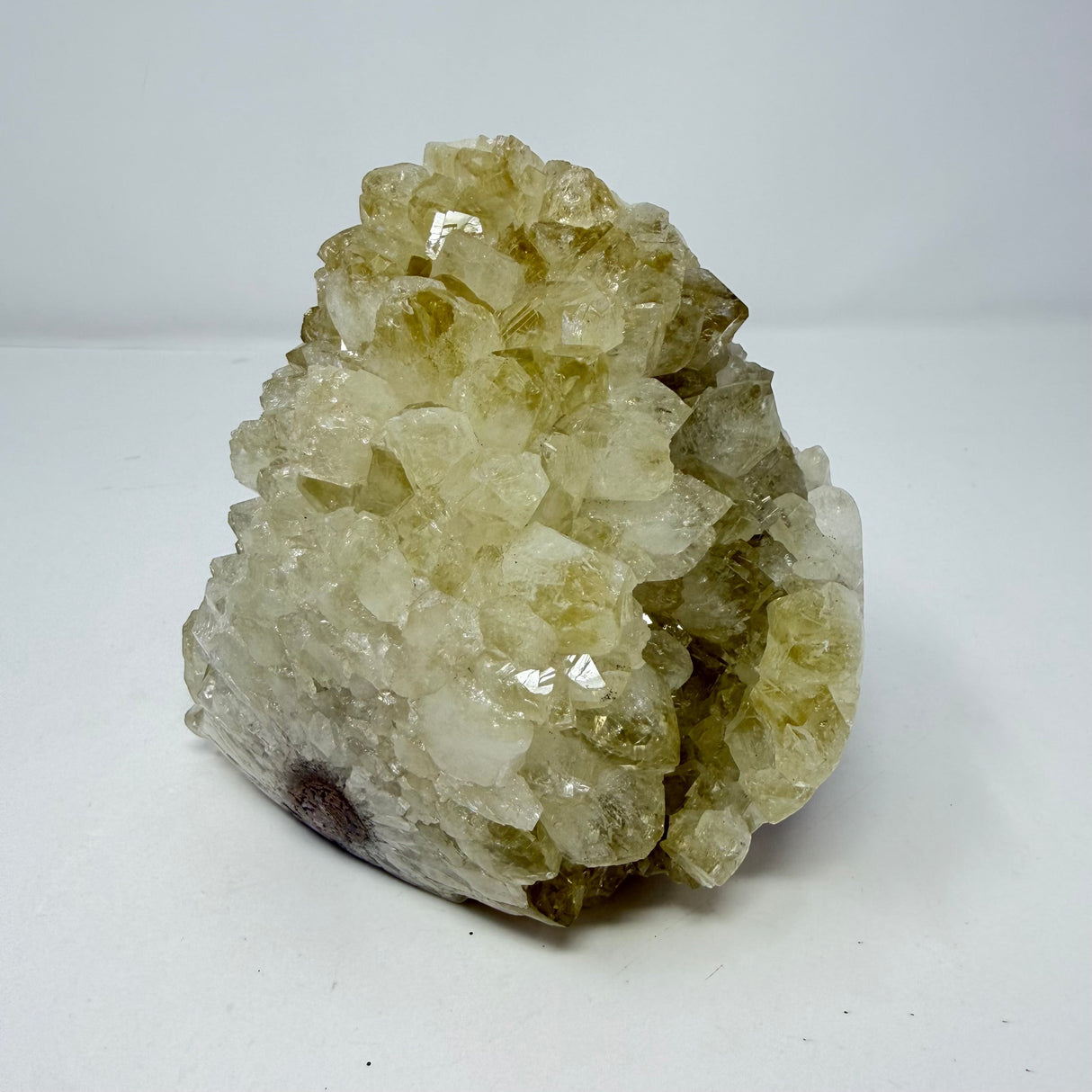 Natural Citrine Crystal Cluster - Polished Stalactite Bulb with Cut Base