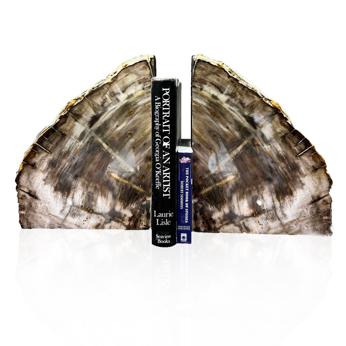 Large Saddle Mountain Washington Petrified Wood Bookends - Sequoia