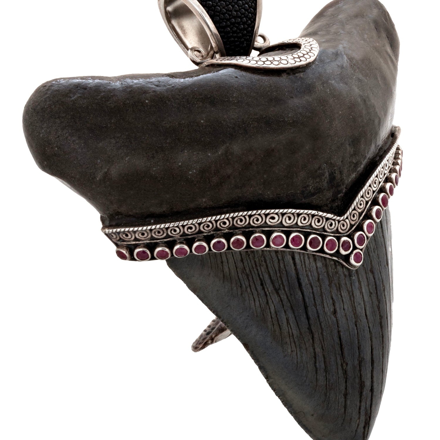 Megalodon Shark Tooth Pendant With Rubies & Stingray Leather Bail & Kick Stand