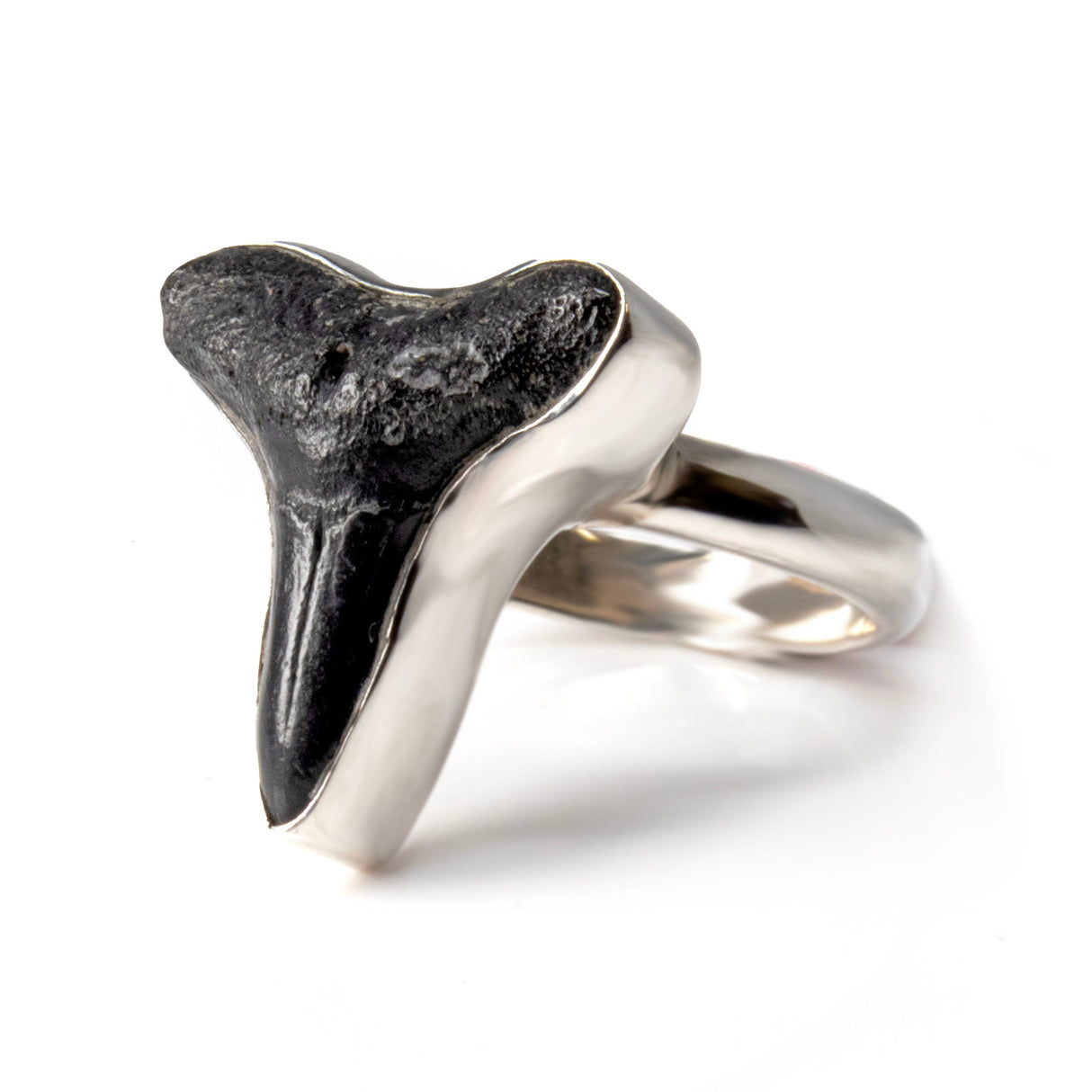 Megalodon Shark Tooth Ring - Extra Small