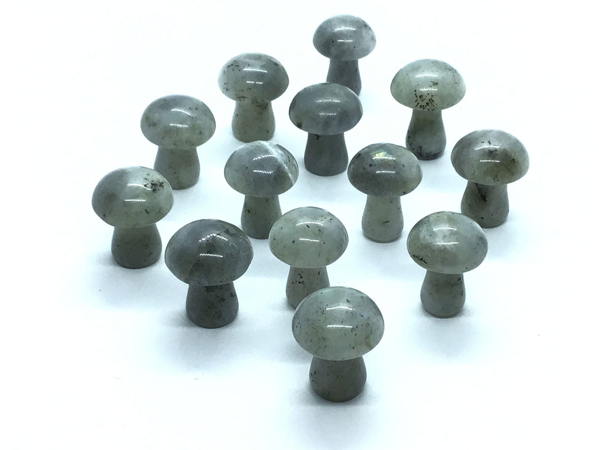 Labradorite Mini Mushroom - Sold As Singles