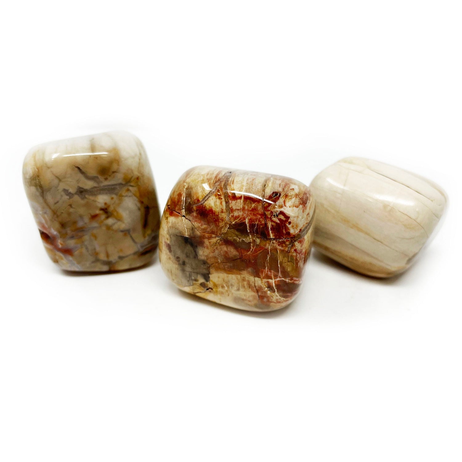 Madagascar Petrified Wood Tumbled Stone - Lg (Singles)