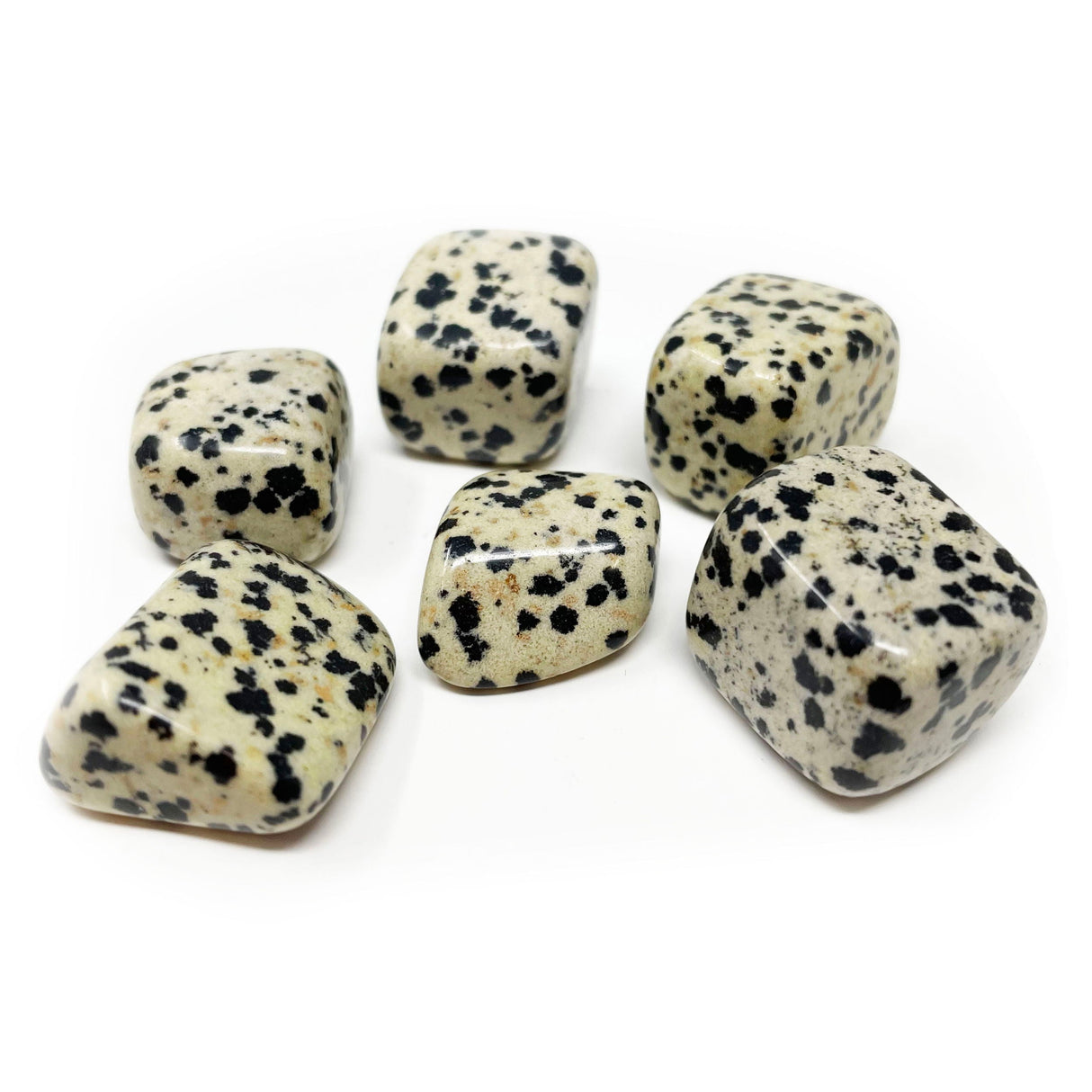 Tumbled Dalmatian Jasper From Africa