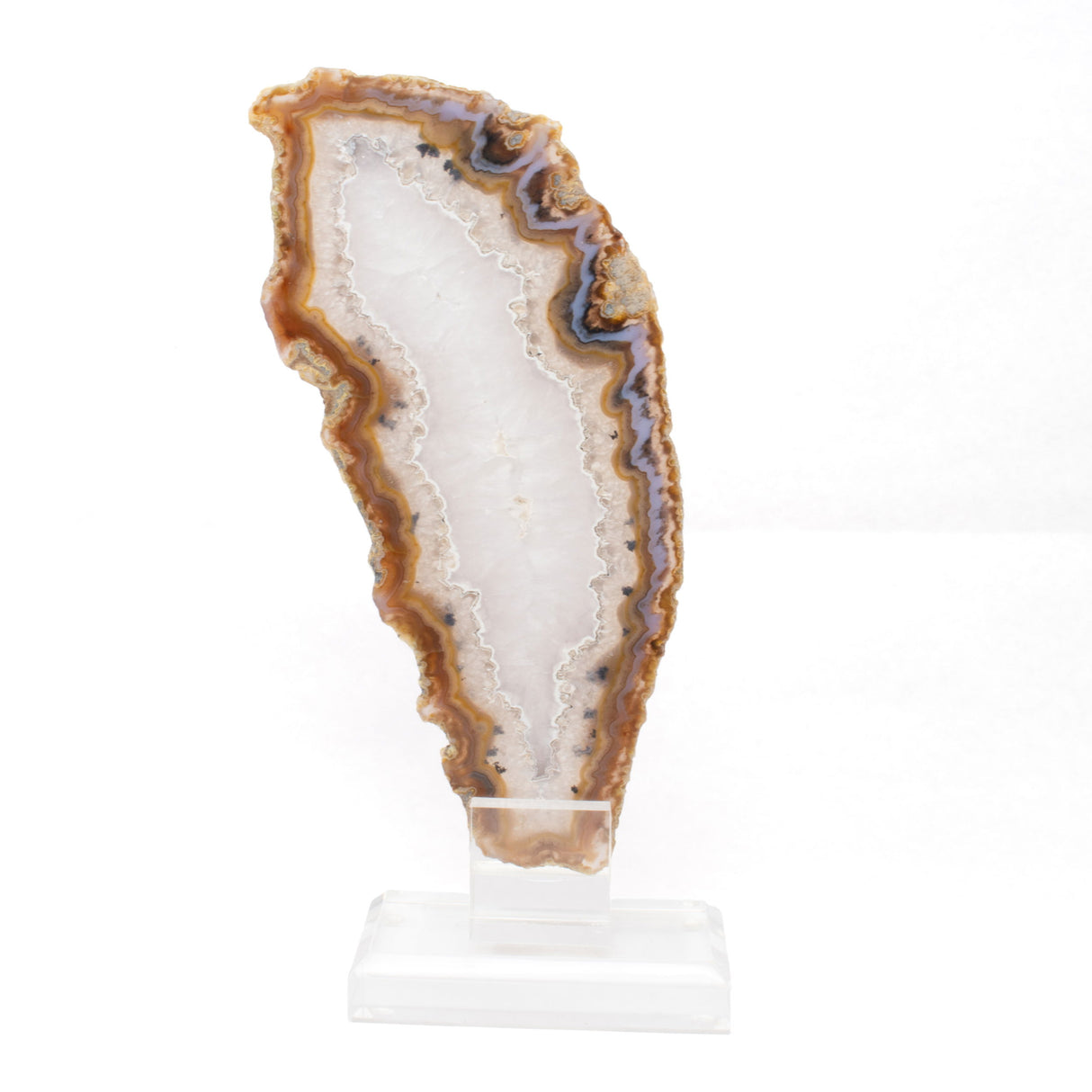 Plume Agate Slice On Acrylic Screw Stand - Periwinkle Band with Quartz Center & Carnelian Edging