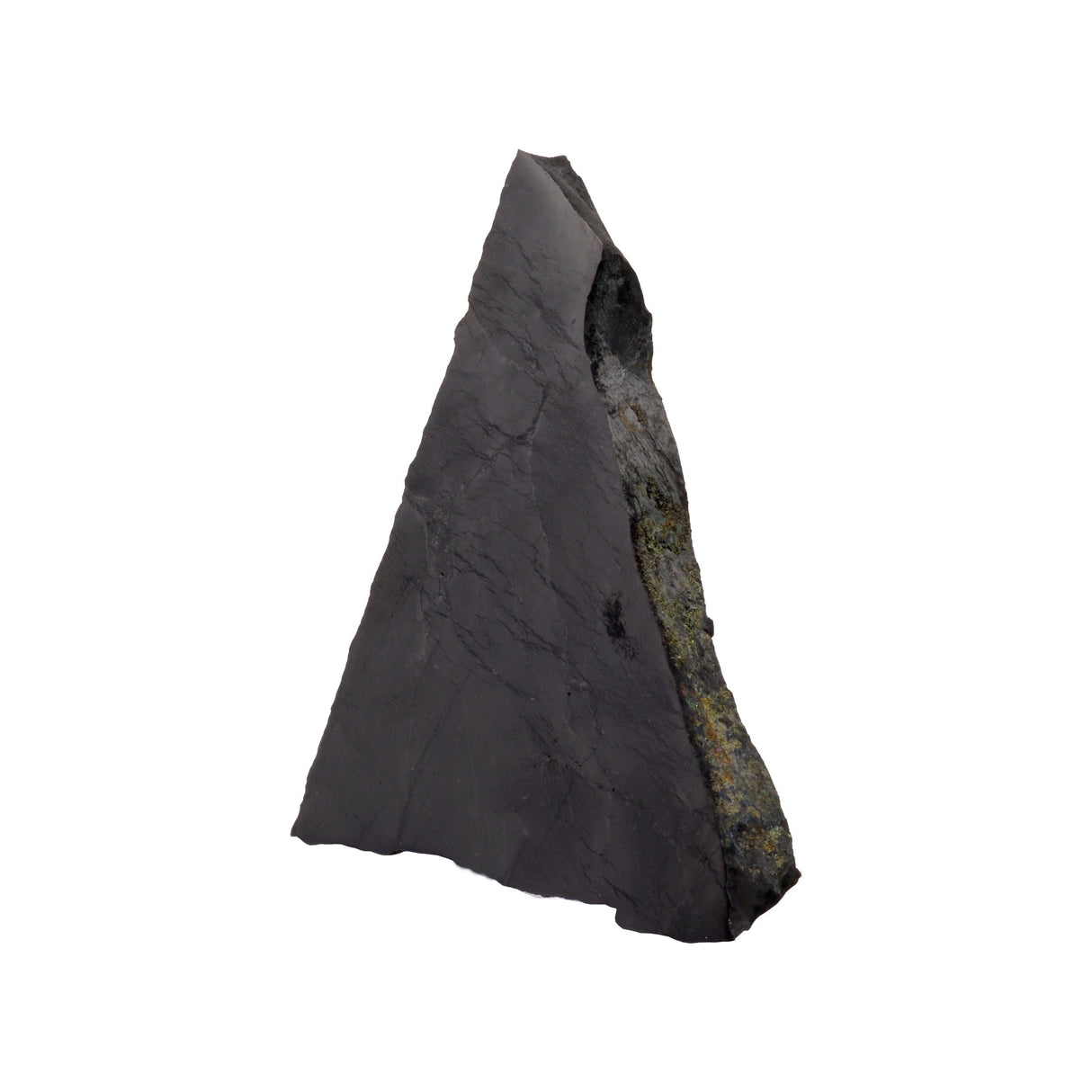 Shungite Slice with Polished Side