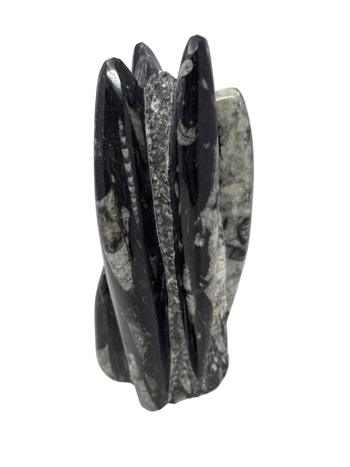 Orthoceras Fossil Sculpture with Self-Standing Base - Small
