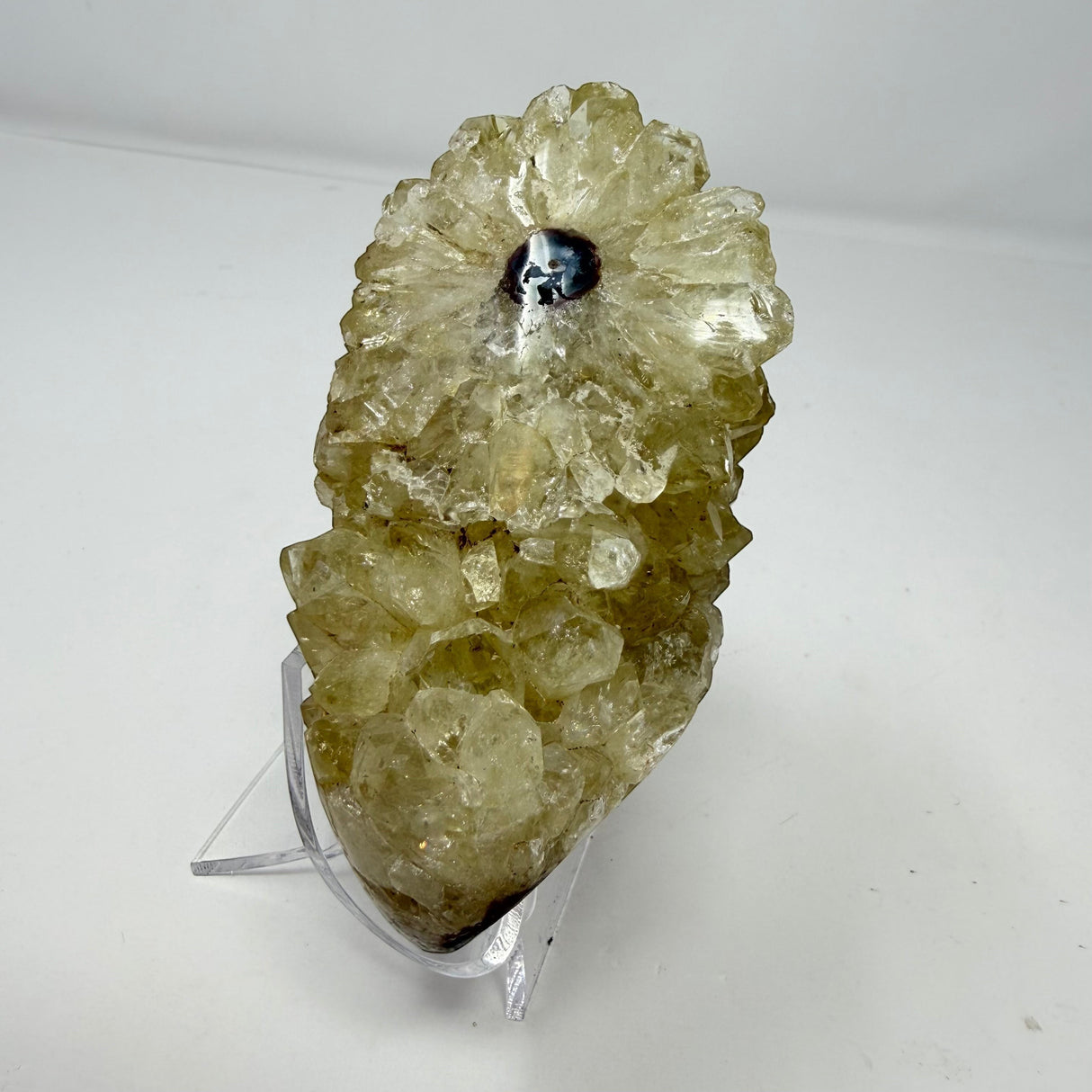 Polished Natural Citrine Crystal Stalactite Knobs on Lucite Stand