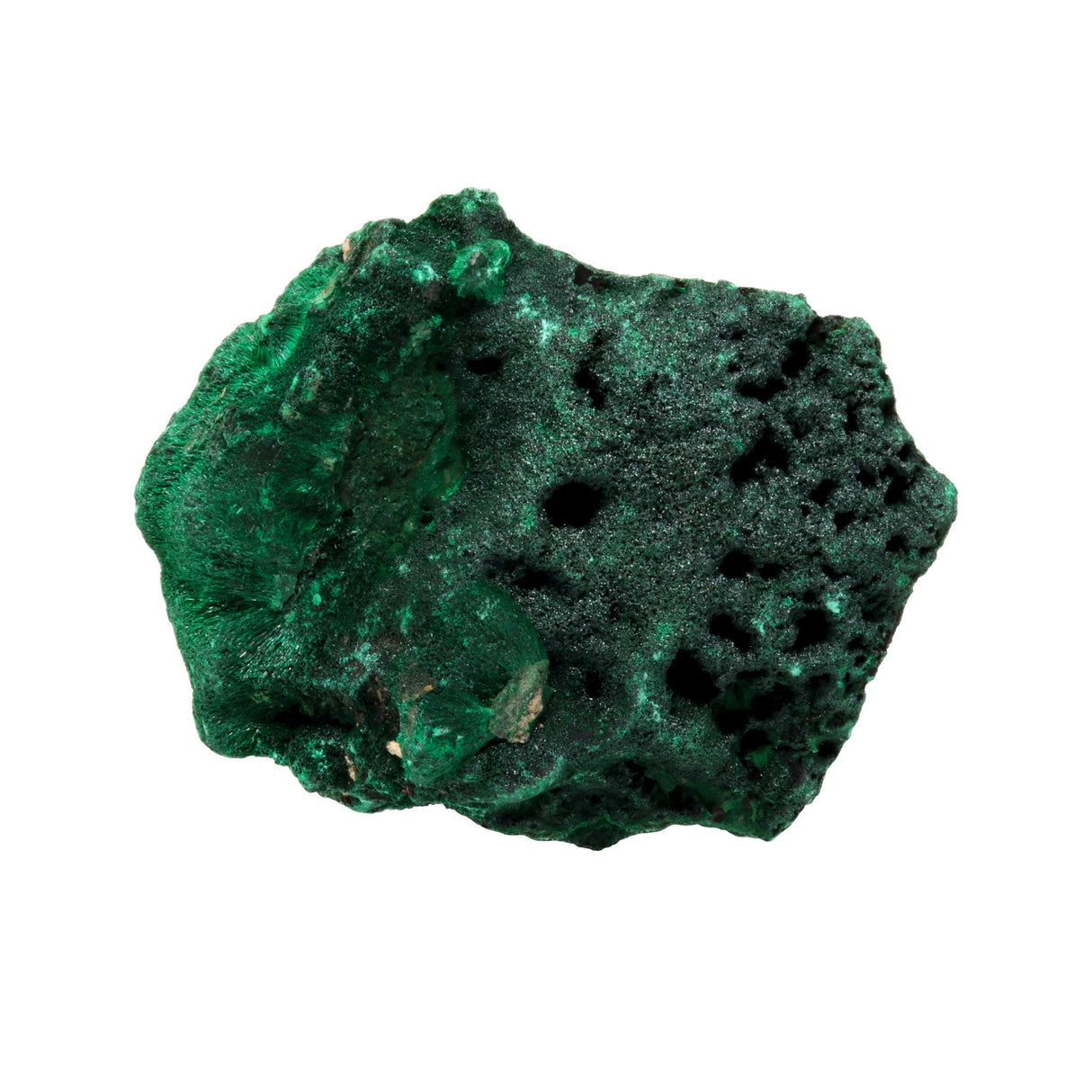 Chatoyant Fibrous Malachite Specimen - Fiberous on Lucite Stand