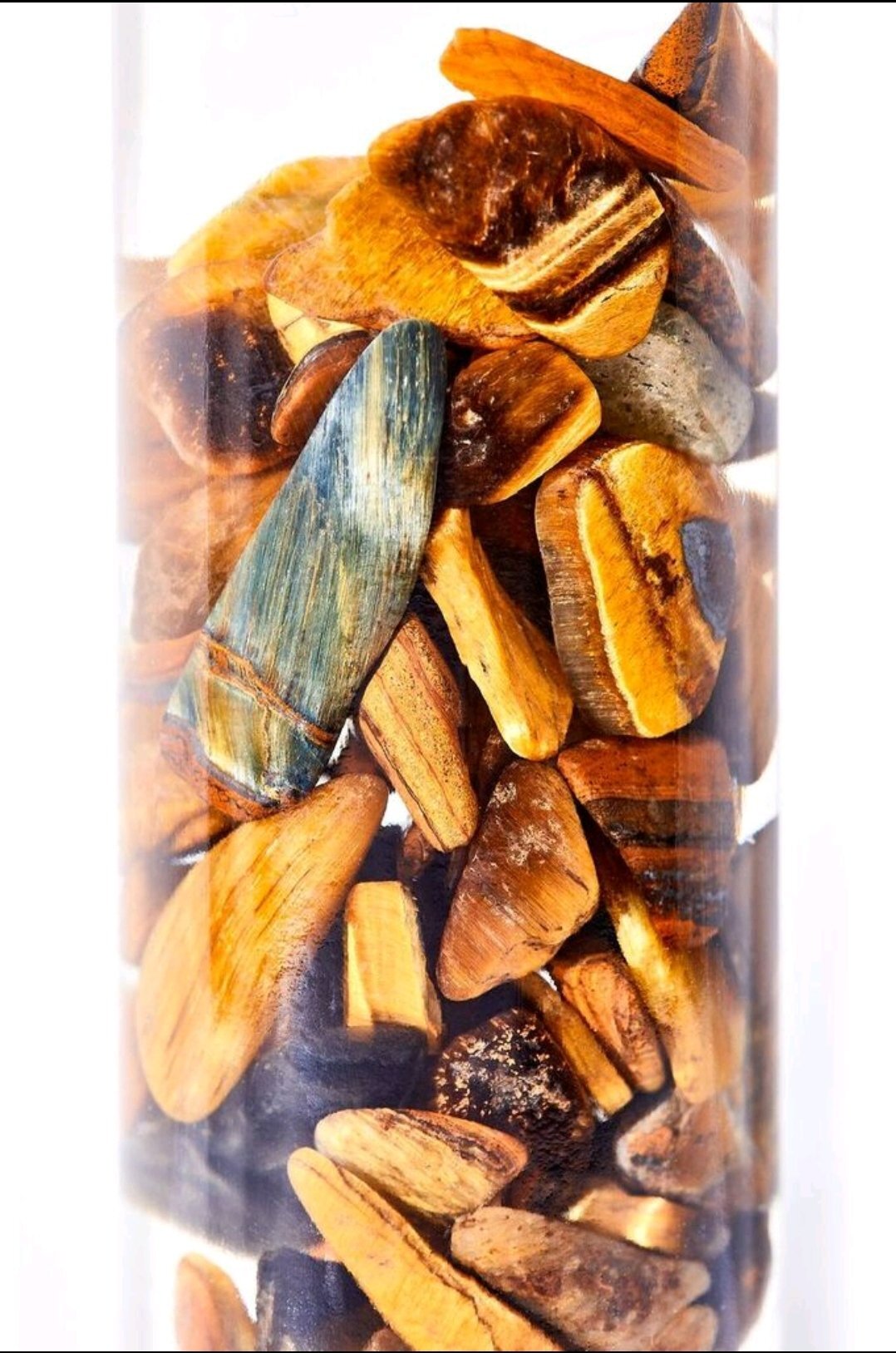 Protection Organic Roll on 15ml