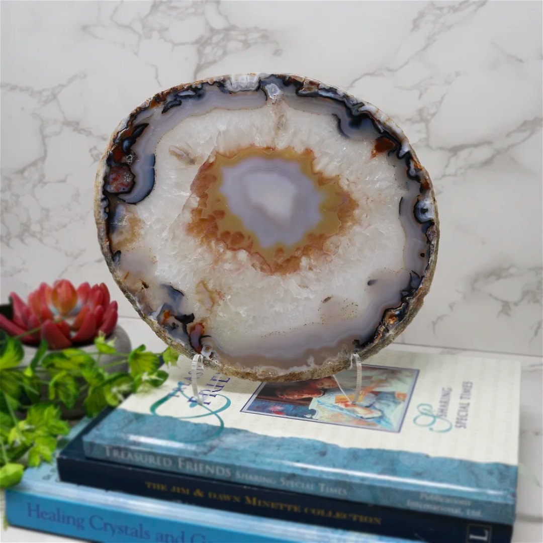 Acrylic Easel - Wide Back Upright for Slices