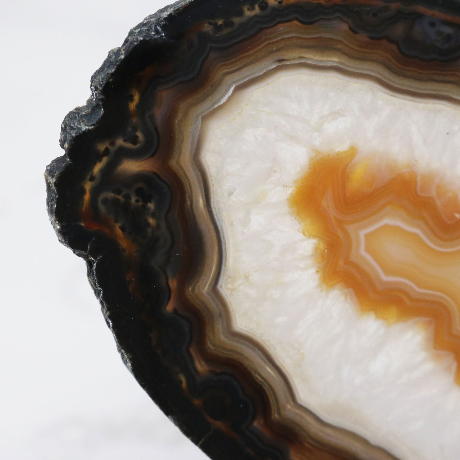 Agate Slice on Lucite Easel Stand - Heavy Chocolate Bands with Carmel Carnelian Center with Quartz Layer