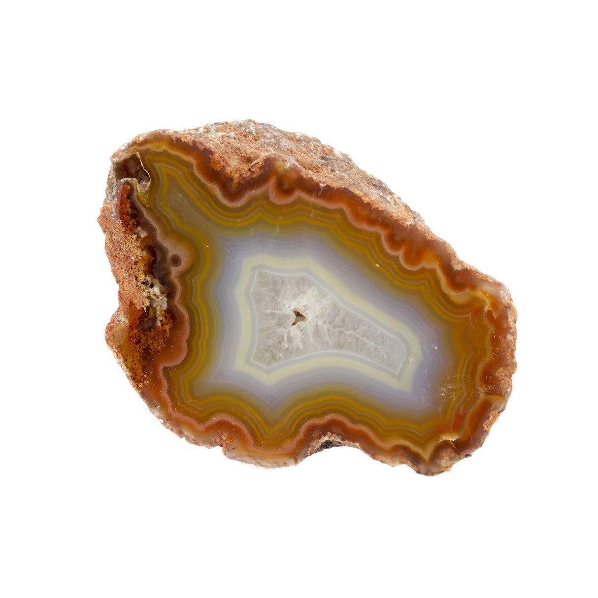 Laguna Agate Geode - Amber Yellow Band with Blue White & Druze Center