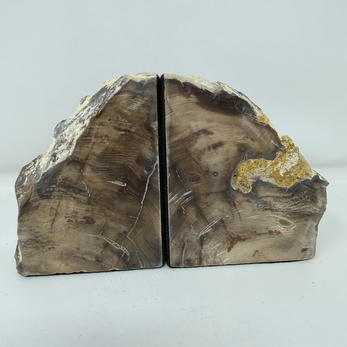 Saddle Mountain Sequoia Petrified Wood Bookends - Small