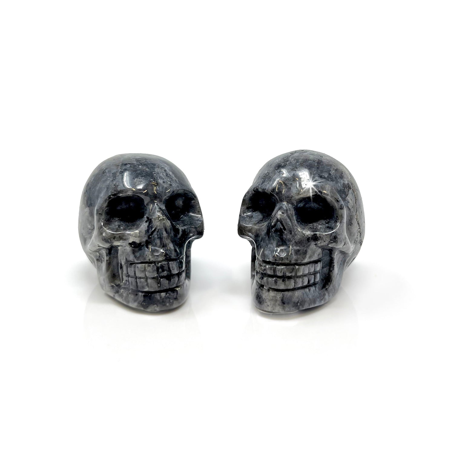 Lavarkite Skull Carving (Sold in Singles)