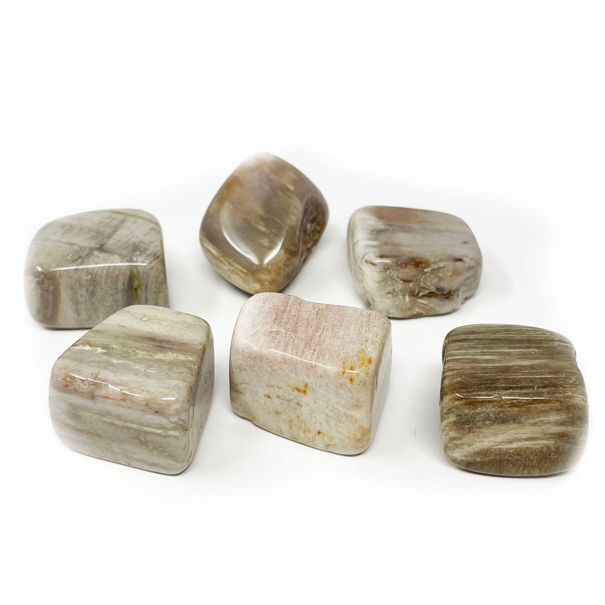 Tumbled Petrified Wood From Madagascar (Singles)