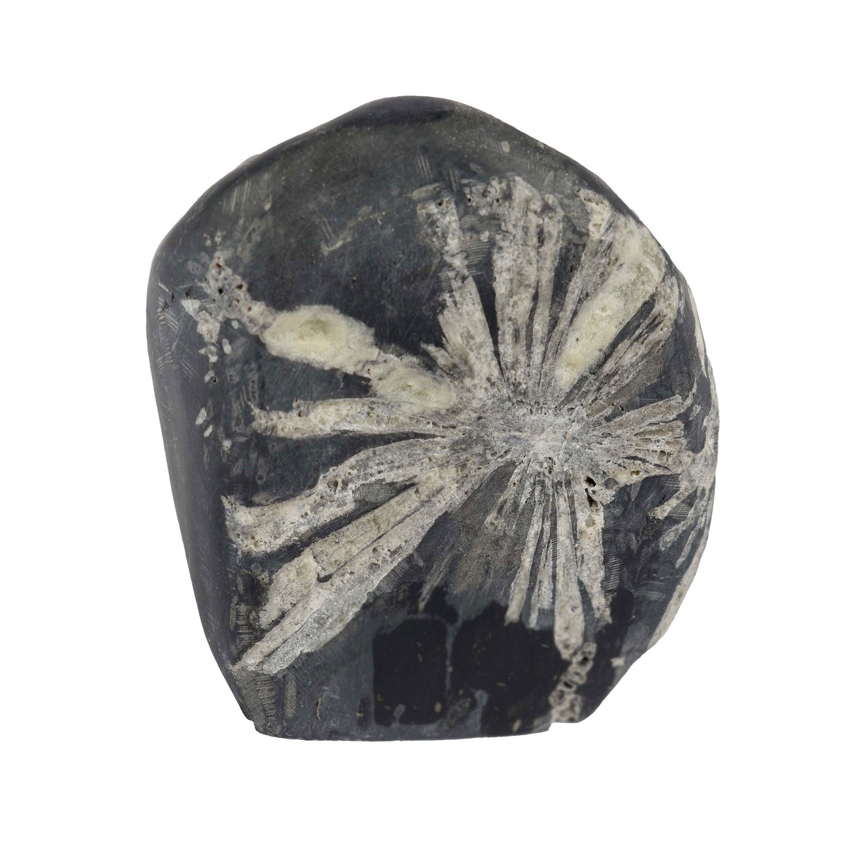 Small Chrysanthemum Stone Cut Base