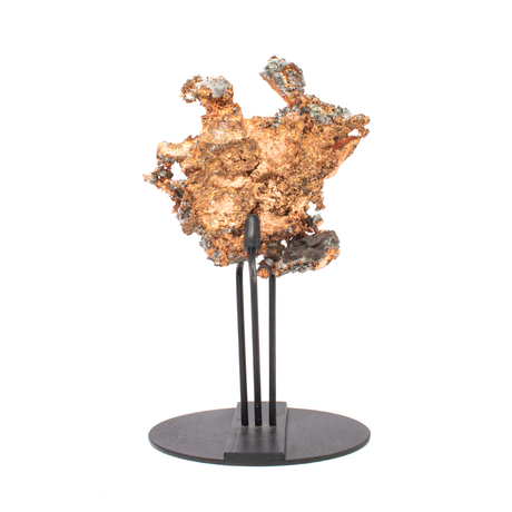 View of Michigan Native Copper In 3 - Pronged Tension Fit Stand With Freckled White Body