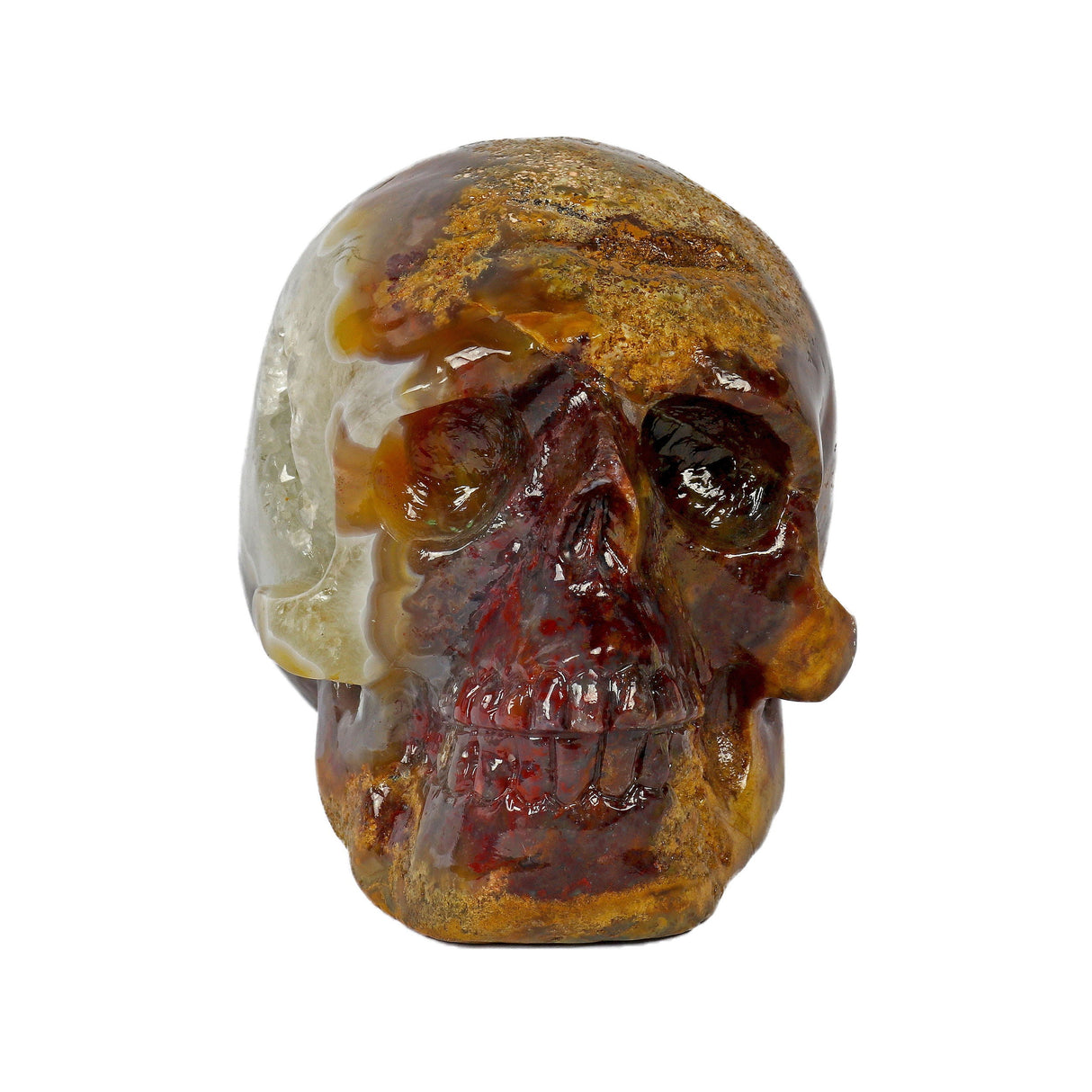 Crazy Lace Agate Skull Medium