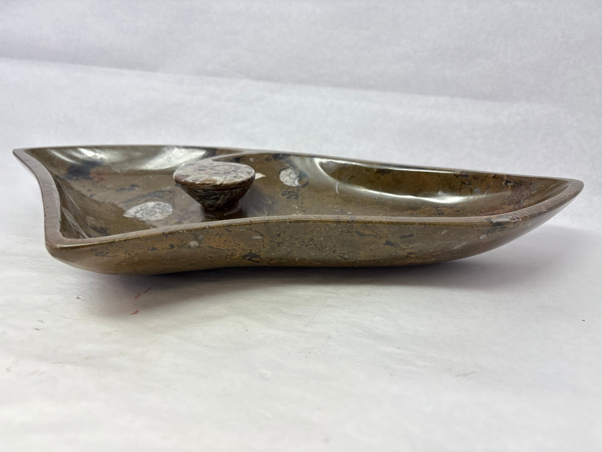 Triangular Ammonite & Orthoceras Fossil Bowl in Brown Seabed with Ammonite Feature