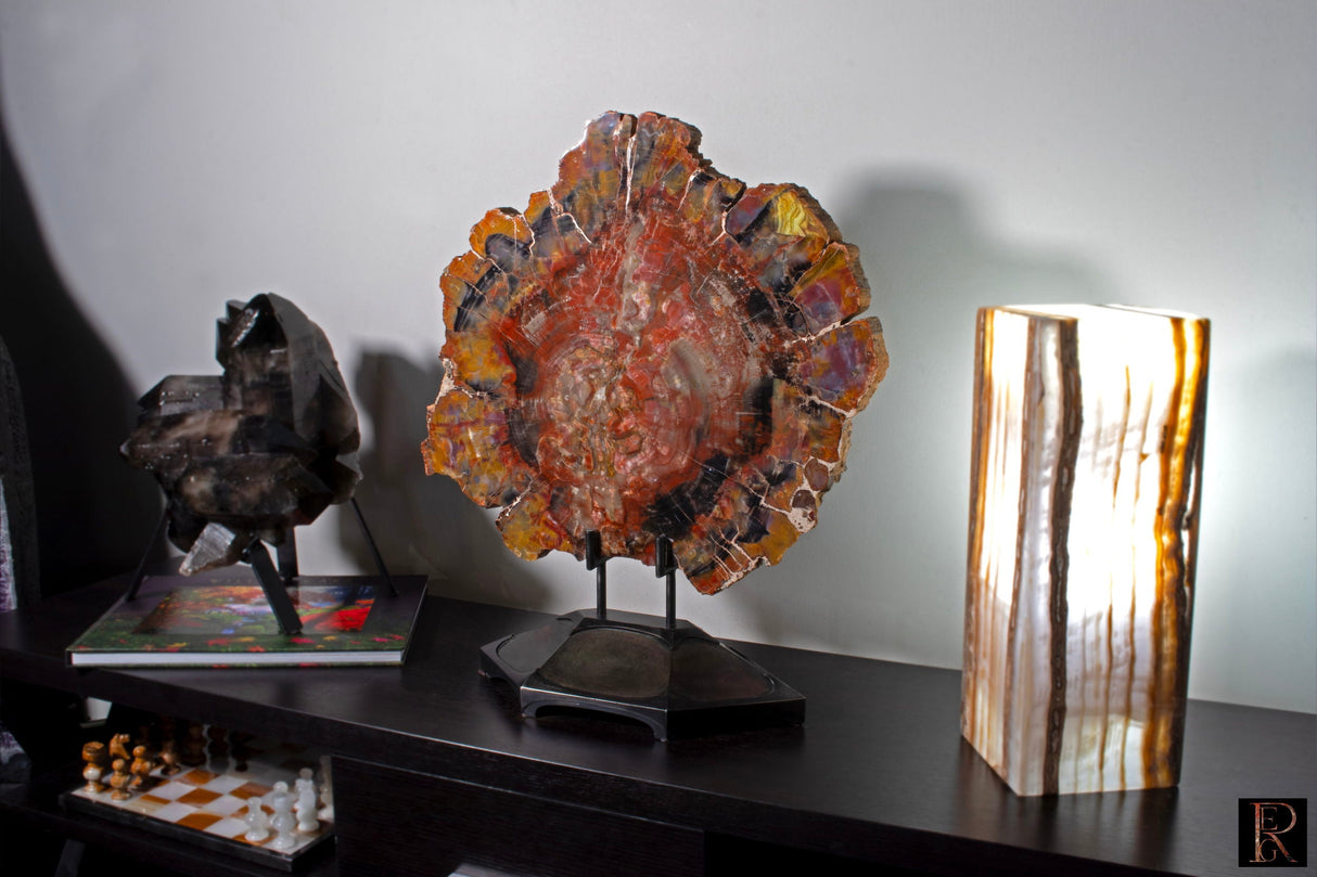 Arizona Rainbow Petrified Wood Slice on Custom Stand with Strong Carnotite Yellow & Purple Edges & Red Black Center with Lucite Easel