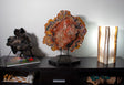 View of Arizona Rainbow Petrified Wood Slice on Custom Stand with Strong Carnotite Yellow & Purple Edges & Red Black Center with Lucite Easel