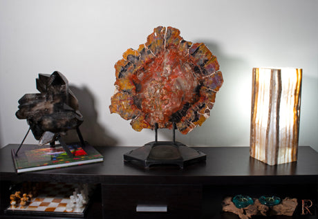 View of Arizona Rainbow Petrified Wood Slice on Custom Stand with Strong Carnotite Yellow & Purple Edges & Red Black Center with Lucite Easel