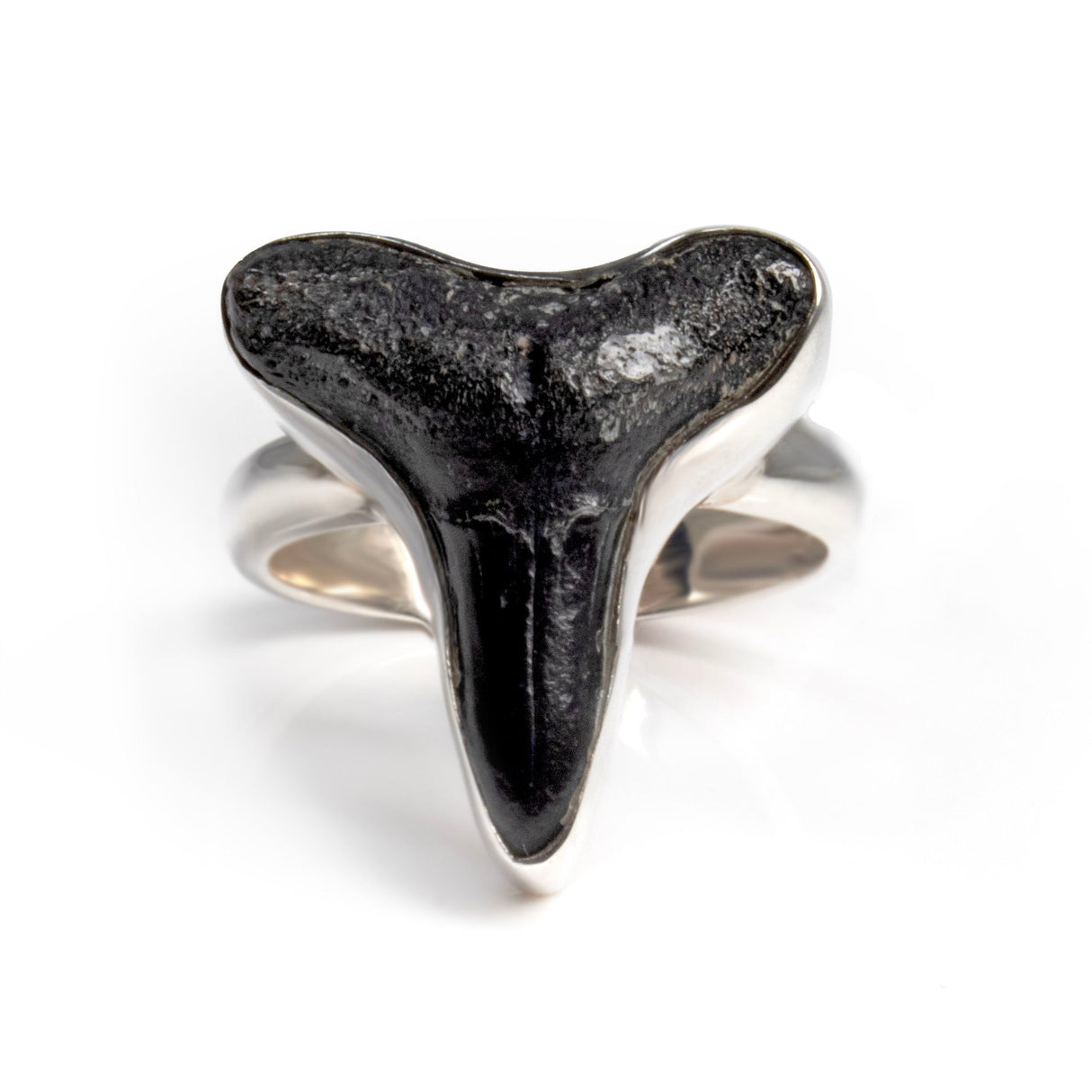 Megalodon Shark Tooth Ring - Extra Small