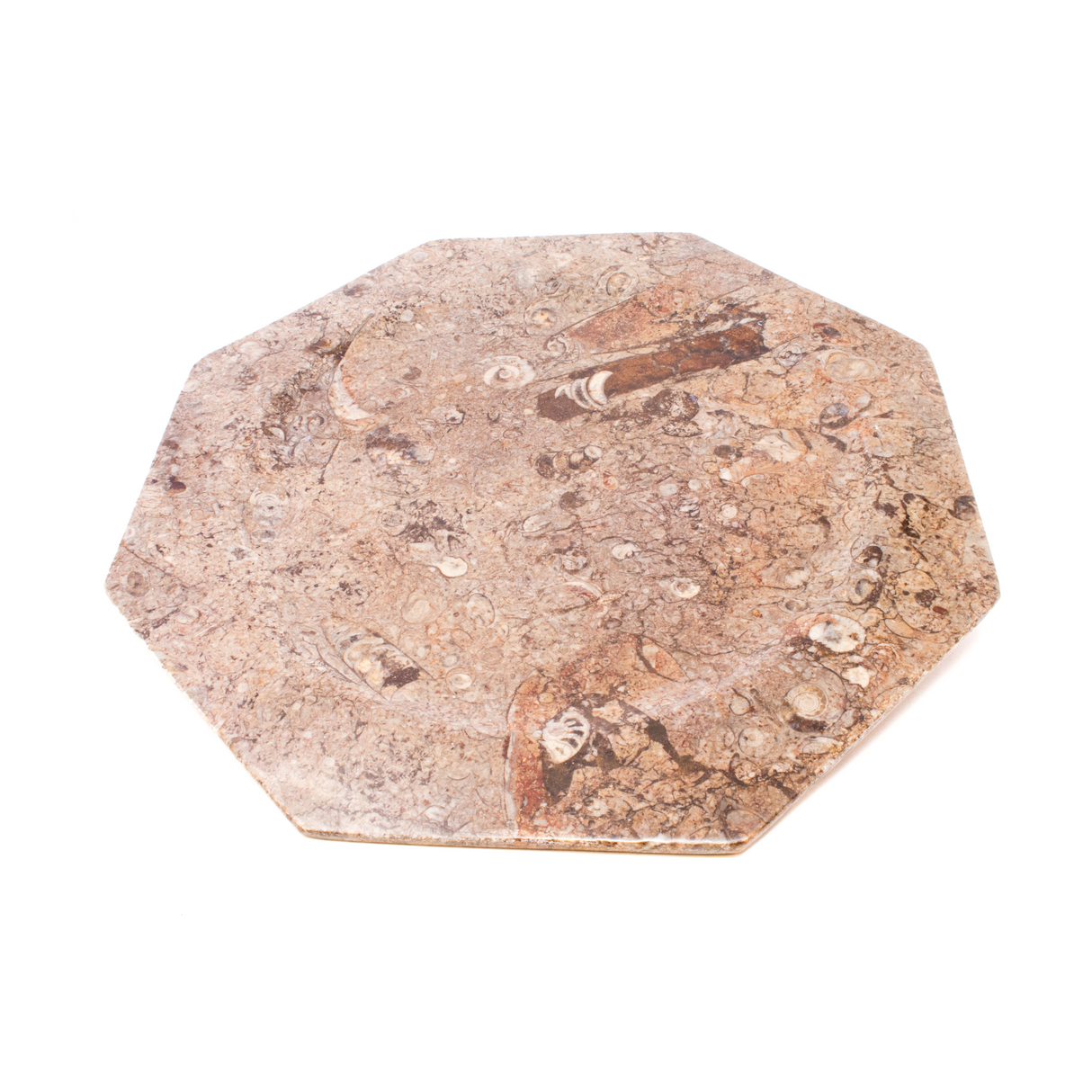 View of Ammonite Orthoceras Seabed Octagonal Charger Plate