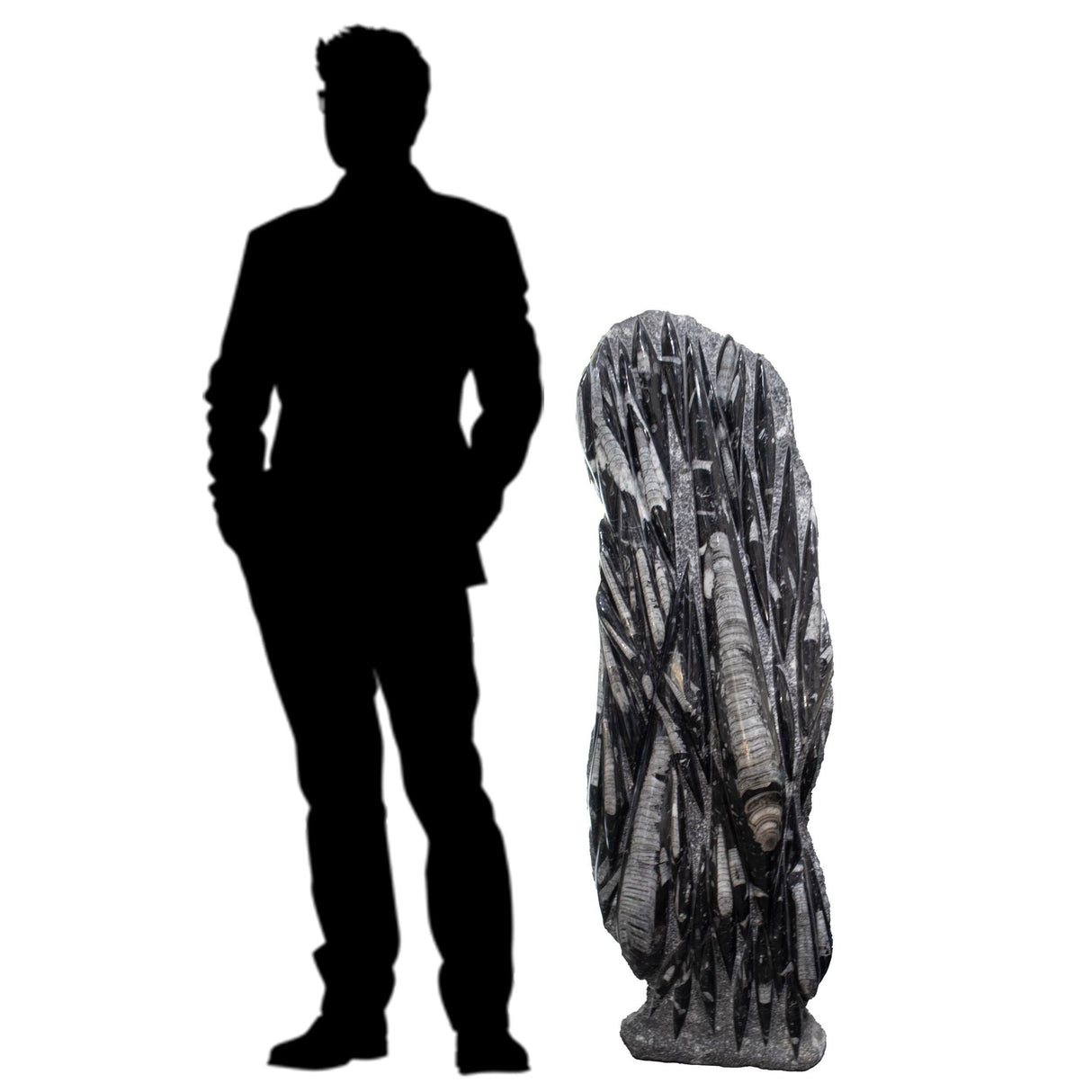 Orthoceras Fossil Sculpture - Plaque Self-Standing Floor Height