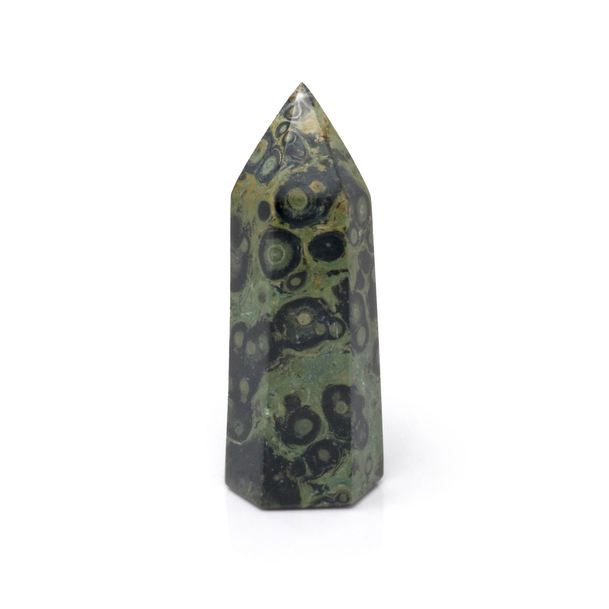 Kambaba Jasper Point Cut & Polished - Yellow Coloring on Point