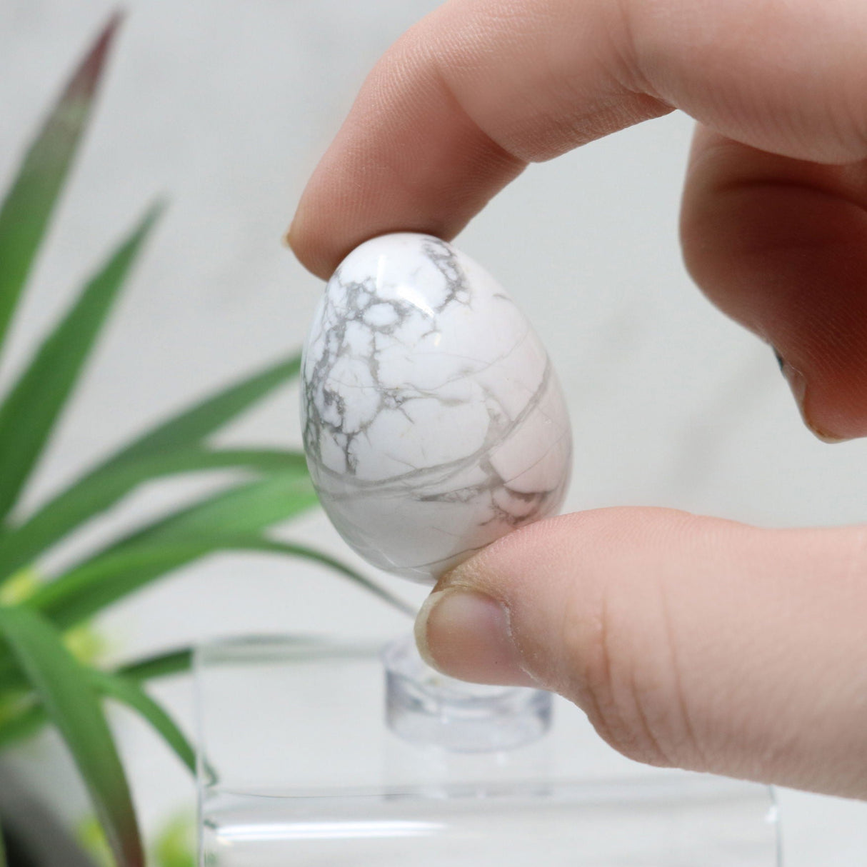 Howlite Carved Eggs - Small with Lucite Stand