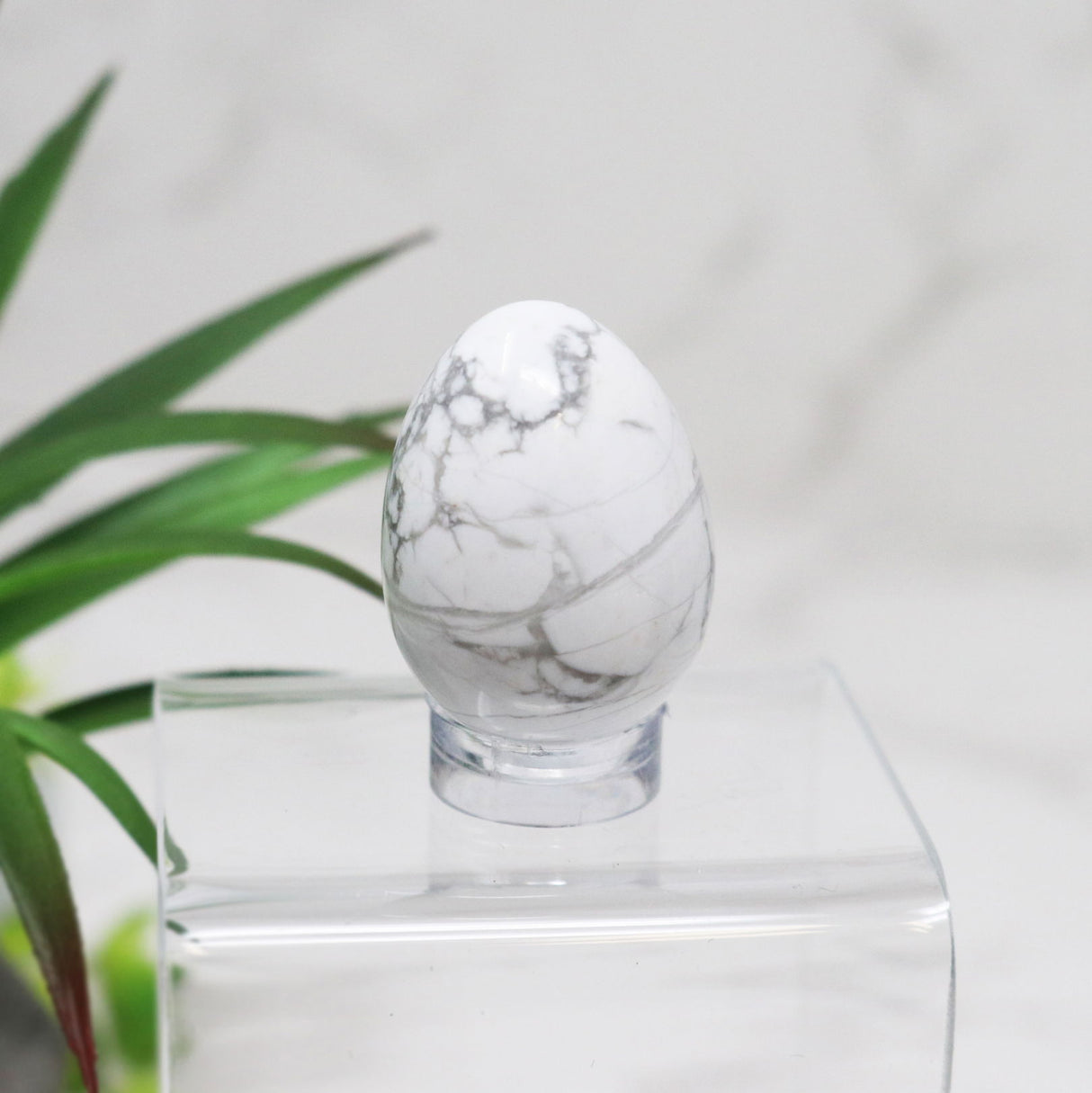 View of Howlite Carved Eggs - Small with Lucite Stand