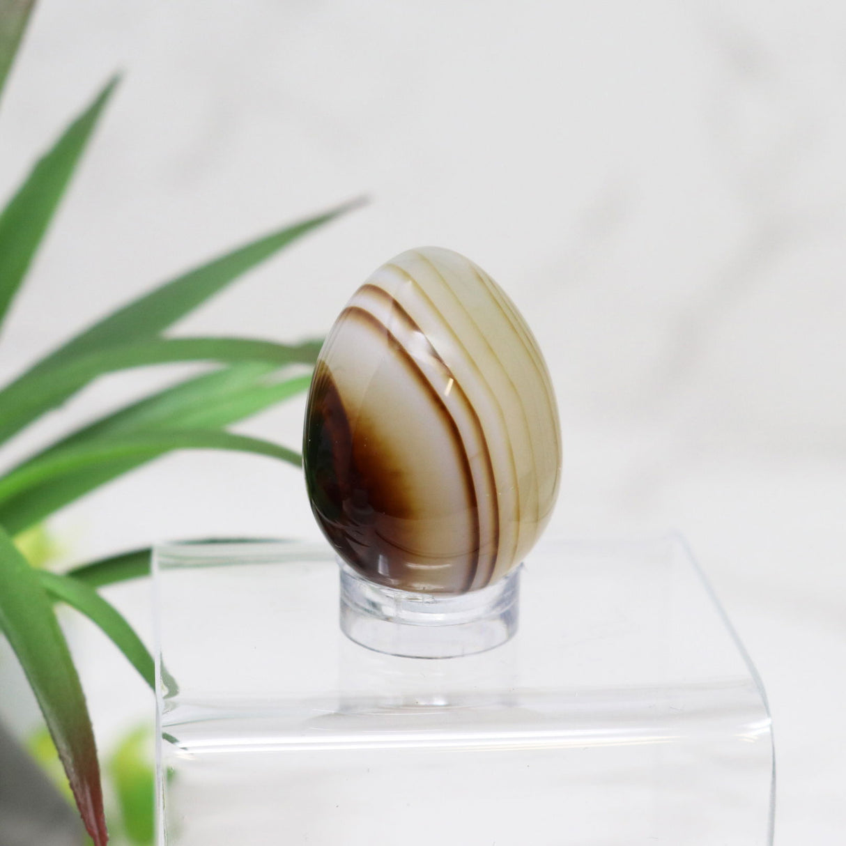 View of Banded Agate Carved Eggs - Small on Lucite Stand