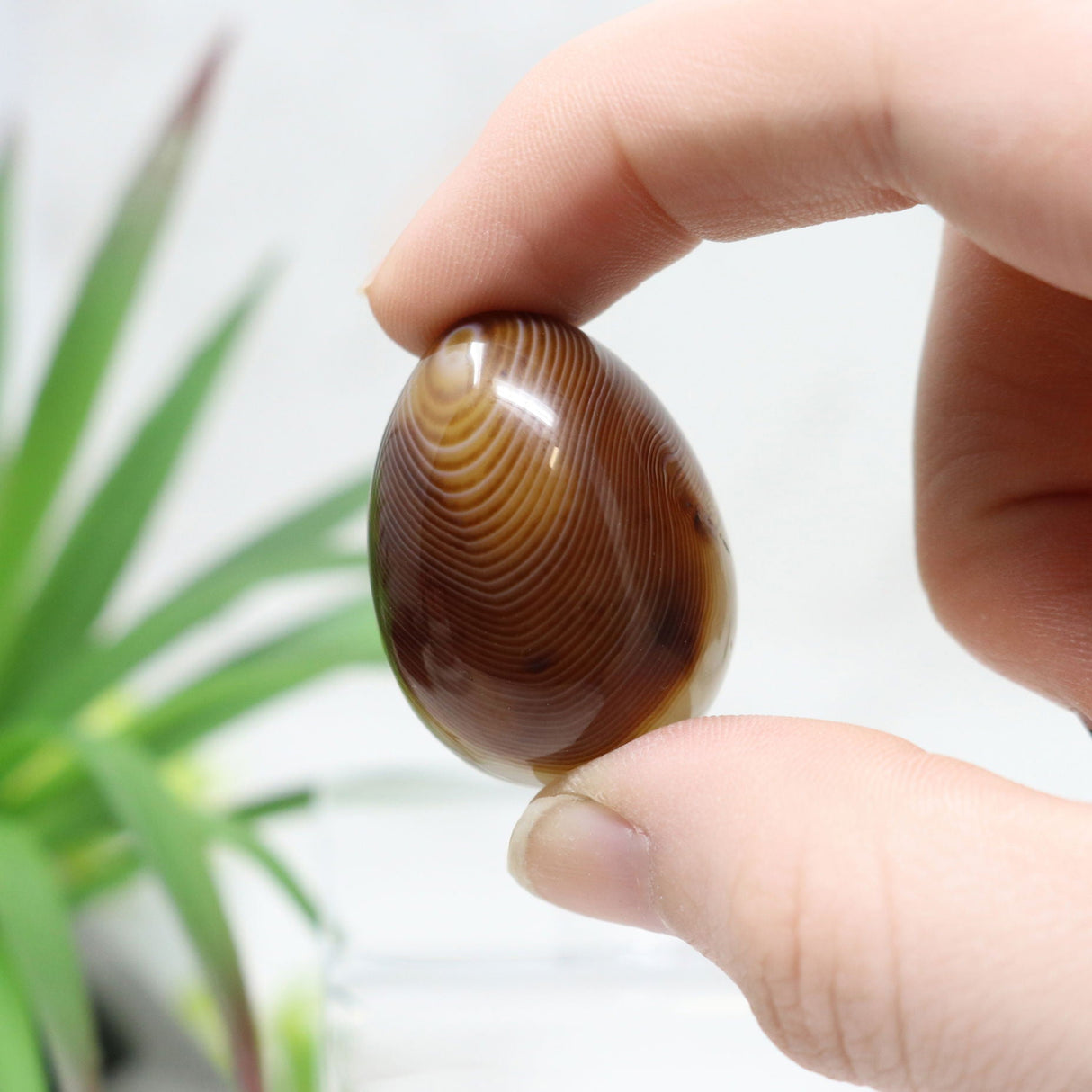 Banded Agate Carved Eggs - Small on Lucite Stand