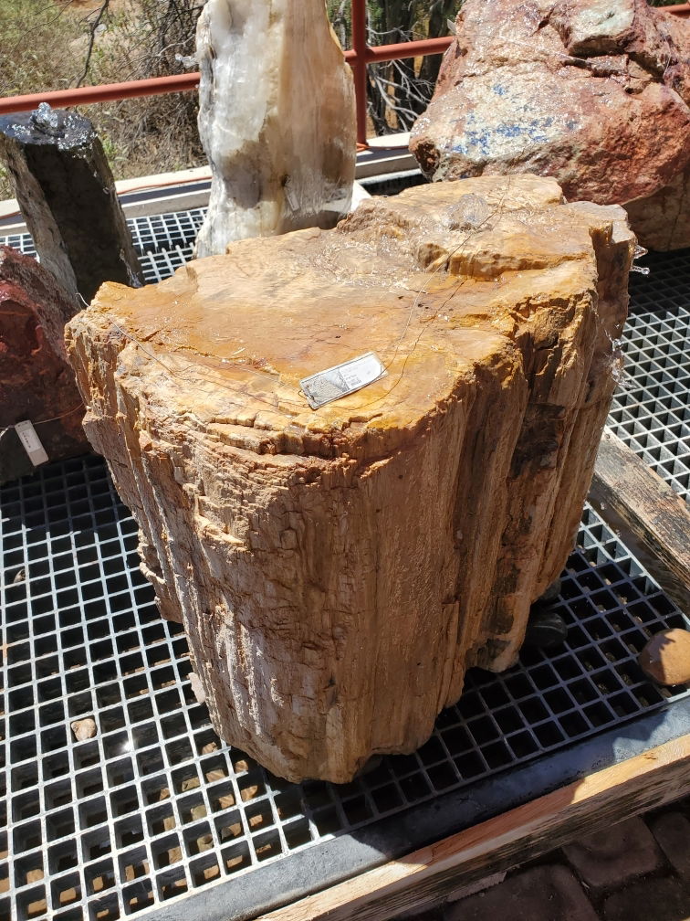 View of Arizona Petrified Wood Log Fountain ***NO Basin - Beige