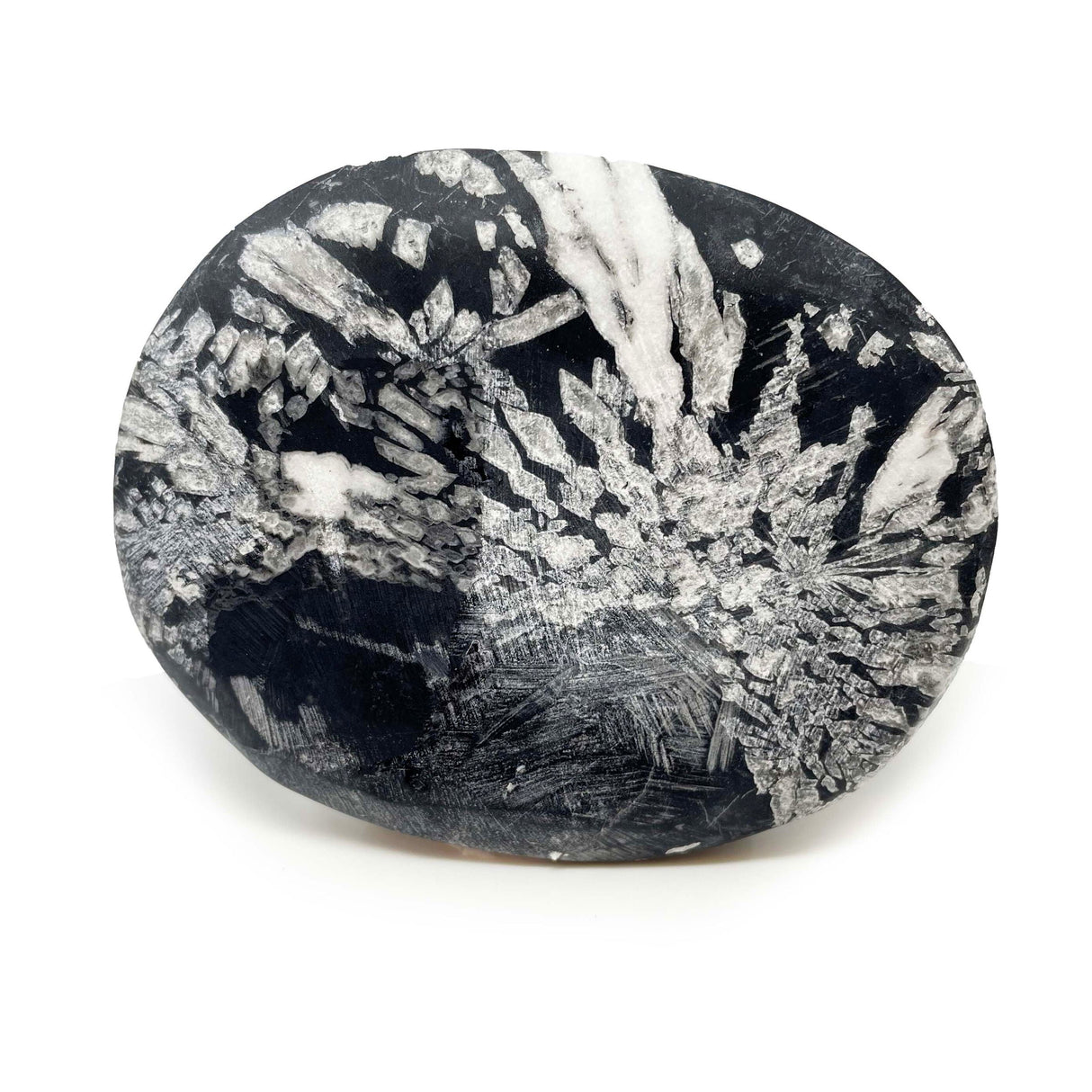 Chrysanthemum Palm Stone Medium