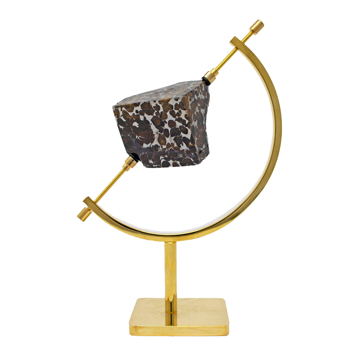 Seymchan Meteorite Edge Cut with Pallasite in Caliper Stand