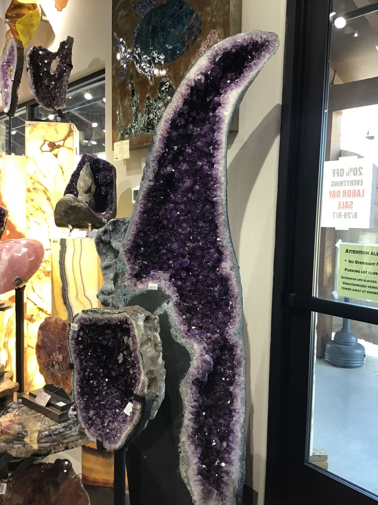 Tall curved amethyst geode cathedral pair with cacoxanite displayed upright in a gallery