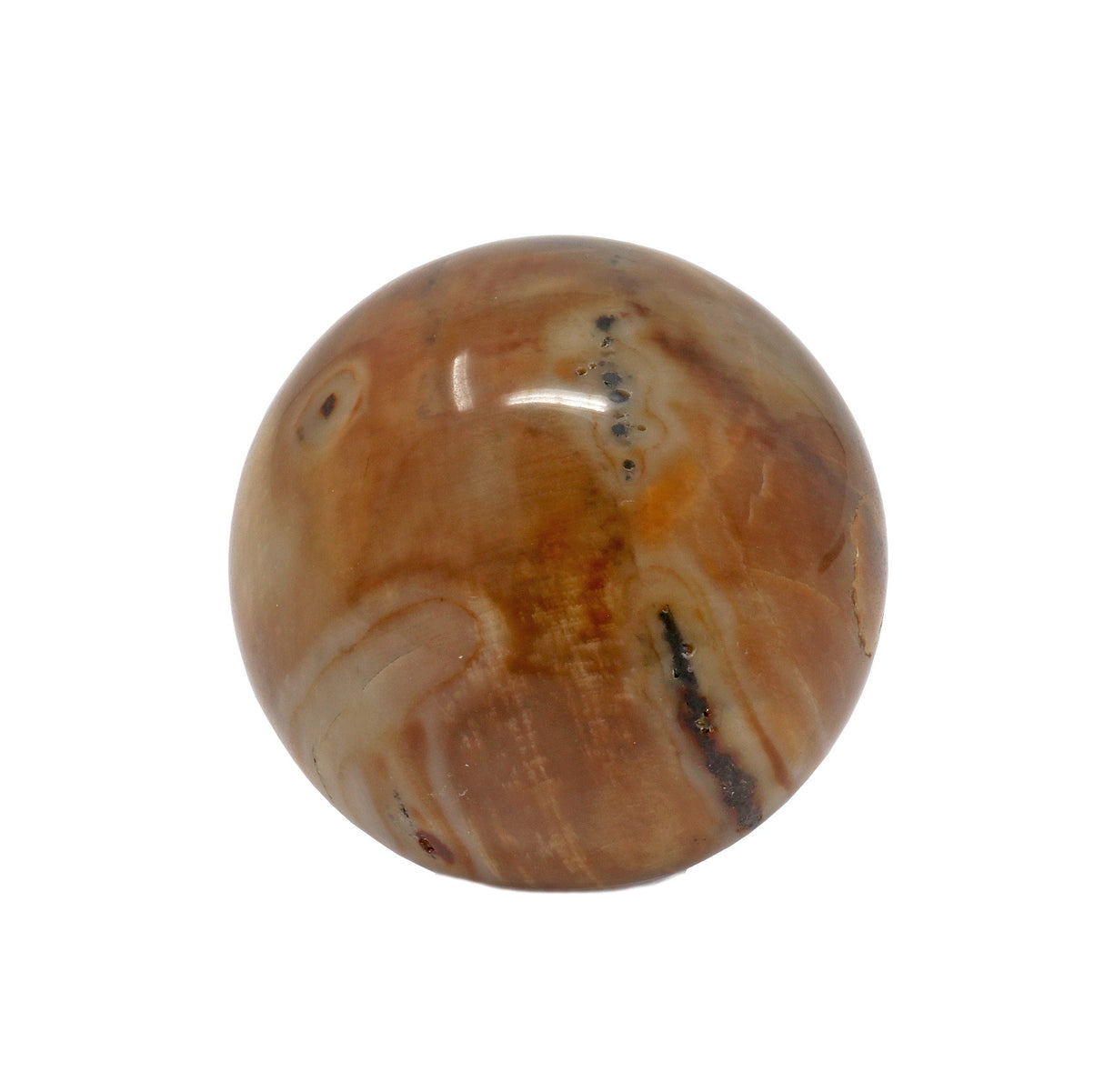 Madagascar Petrified Wood Sphere - 40mm With Lucite Stand