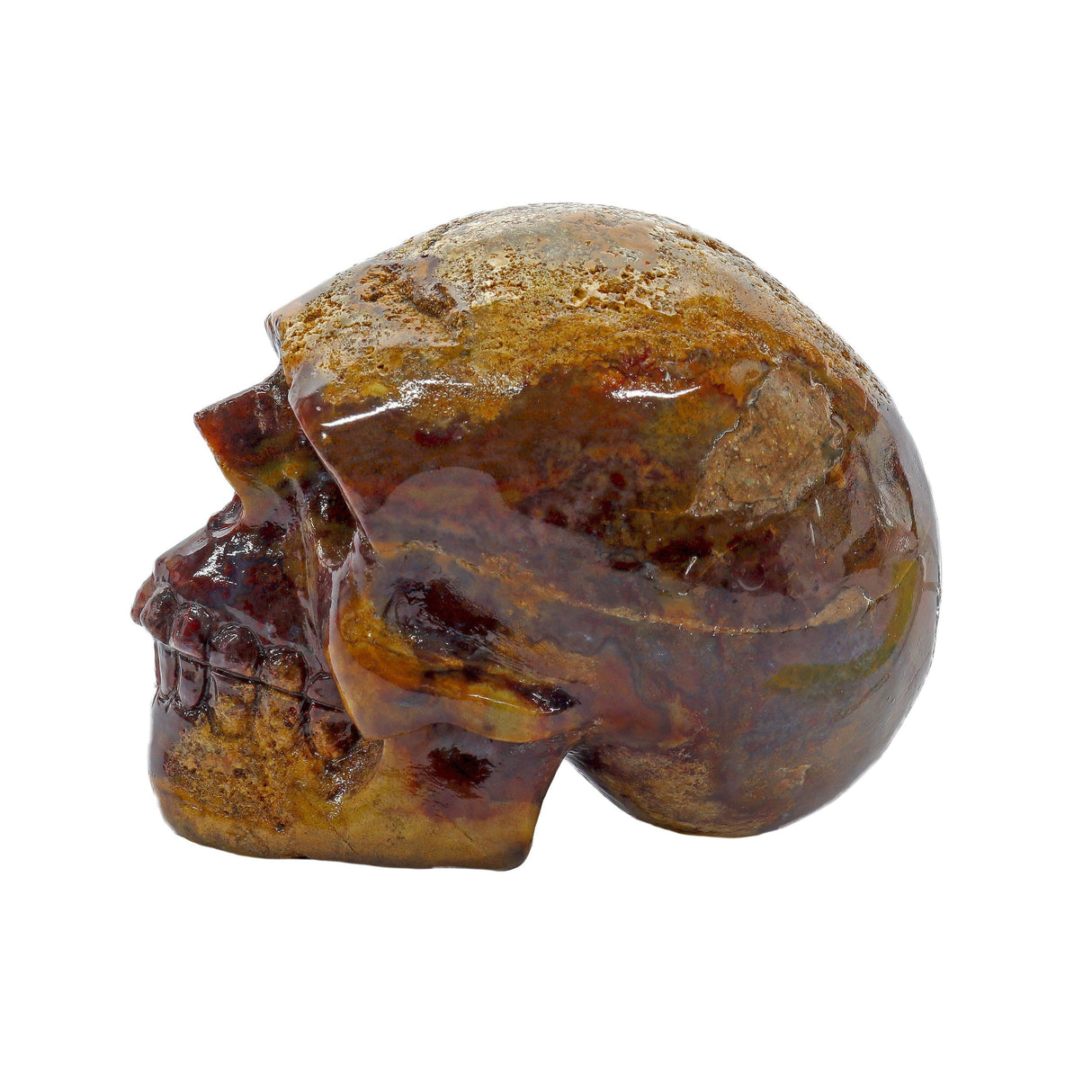 Crazy Lace Agate Skull Medium