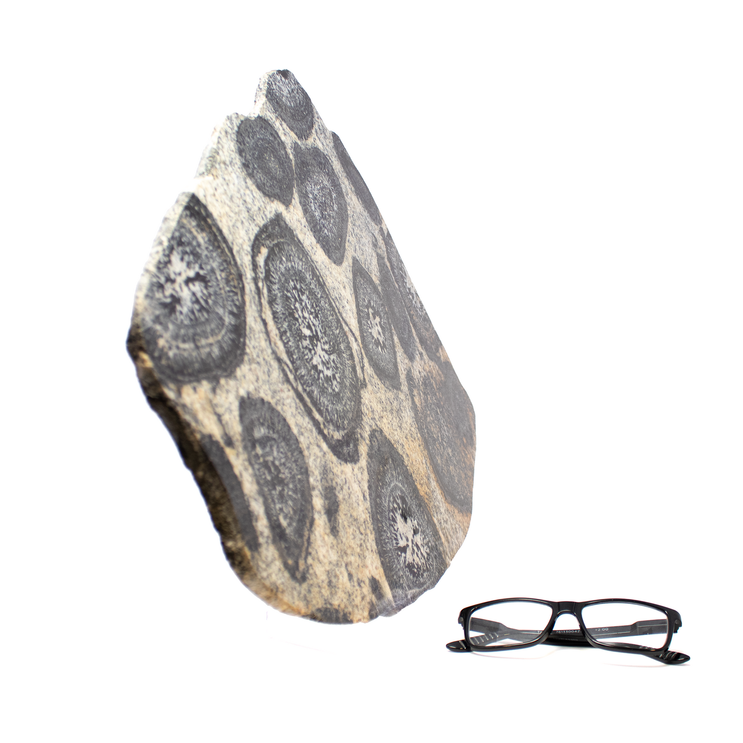 Orbicular Granite Slice