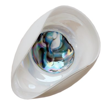 View of Wall Plate Small - White River Stone