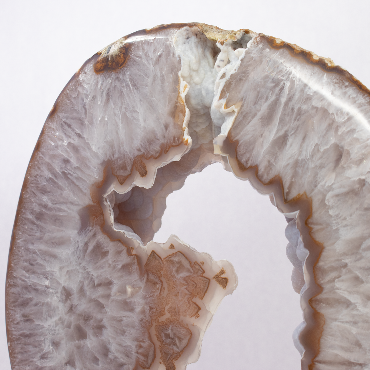 Rose De France with Carnelian Agate Geode Ring on Fitted Rotating Stand with Botryoidal Agate Pie in Center