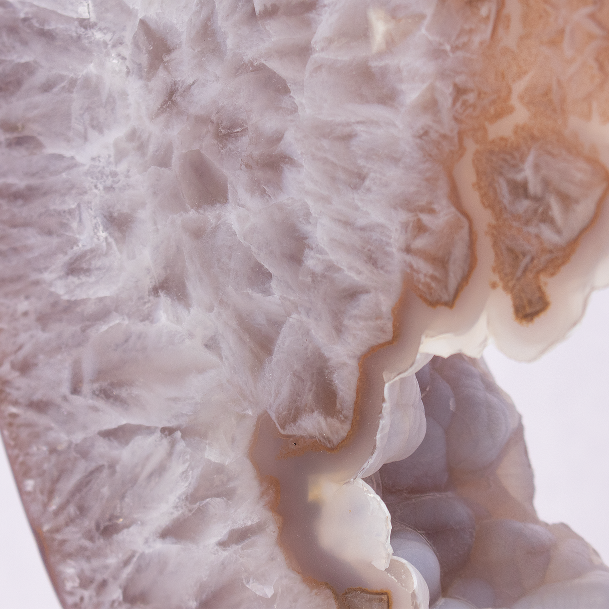 Rose De France with Carnelian Agate Geode Ring on Fitted Rotating Stand with Botryoidal Agate Pie in Center